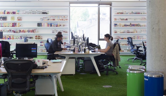 grass in offices
