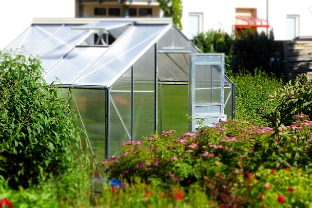 Cómo transformar tu terraza en un invernadero